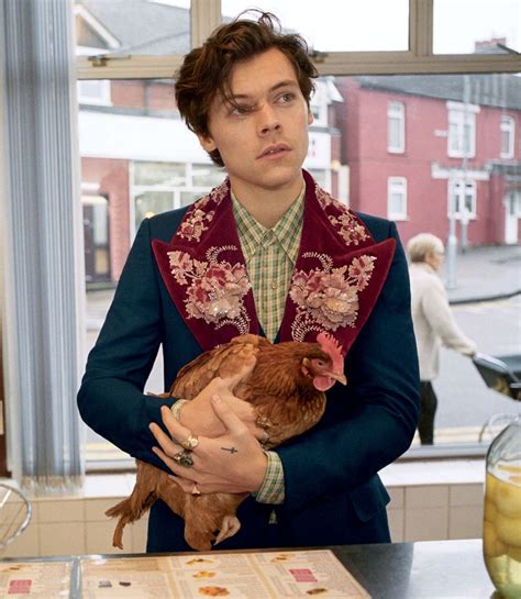 gucci spring summer 2015 campaign|gucci campaign harry styles.